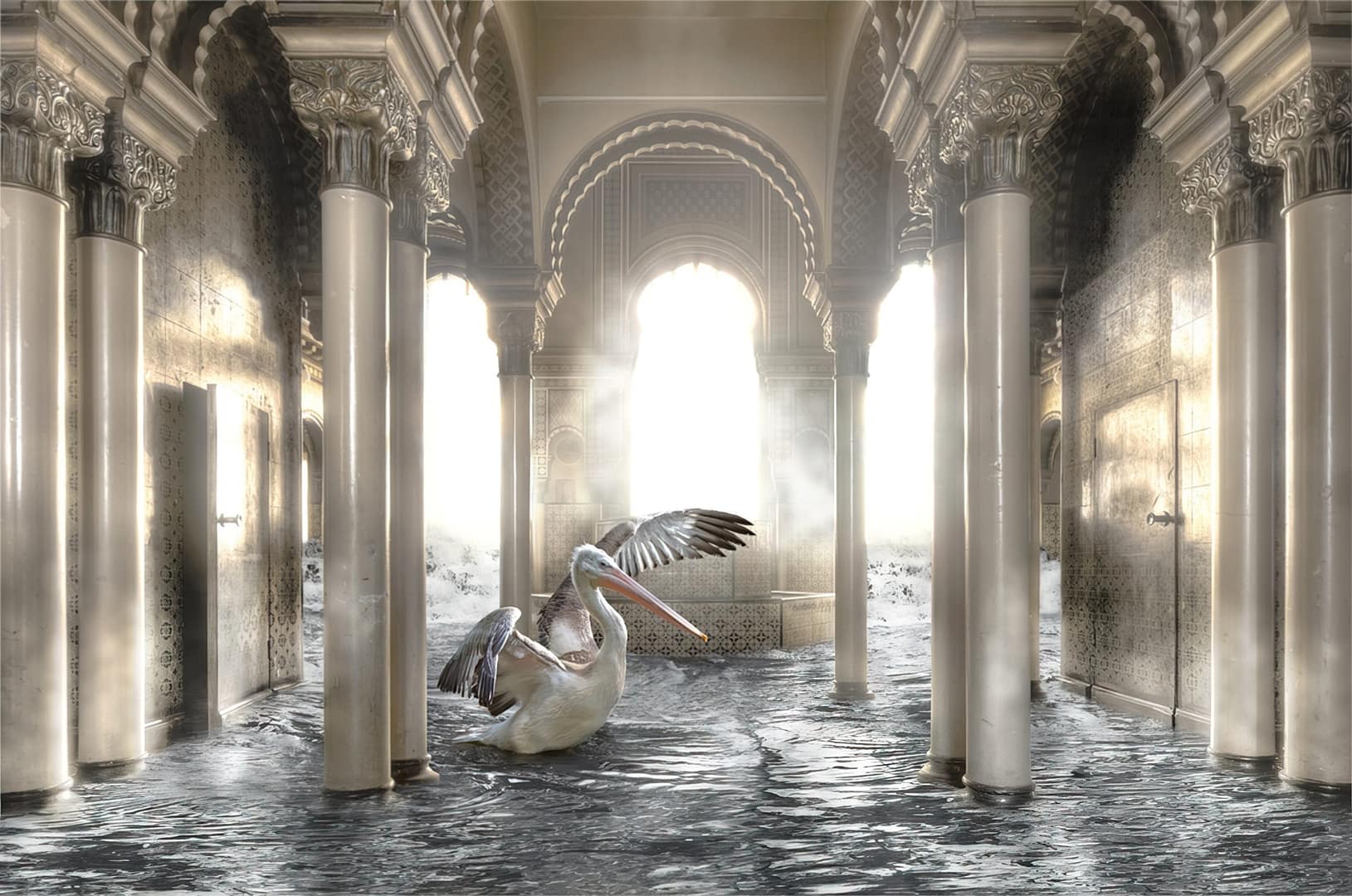 The legend of the pelican